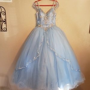 Quinceañera/Sweet 16 Dress